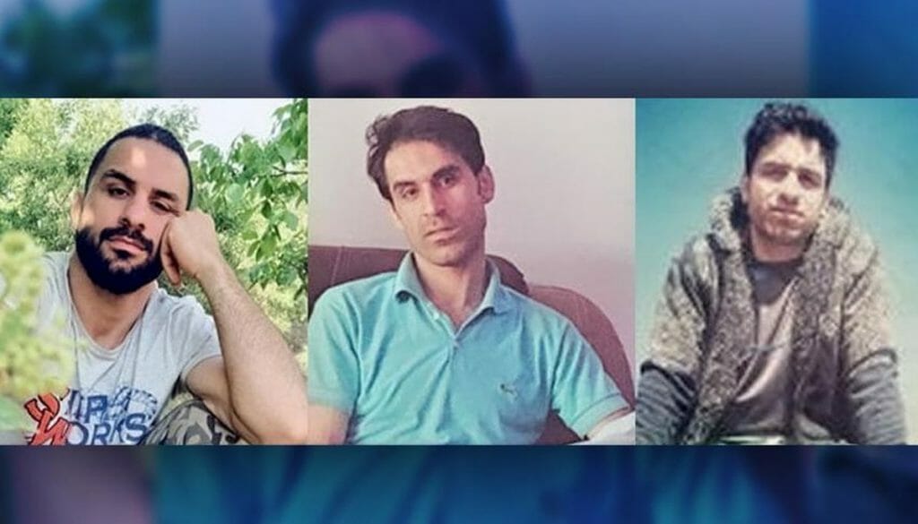Die Bürder Vahid, Navid und Habib Afkari