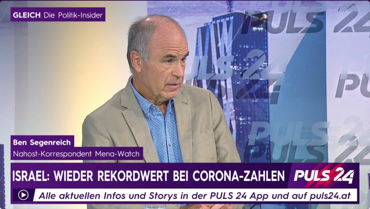 Ben Segenreich im Puls-24-Interview