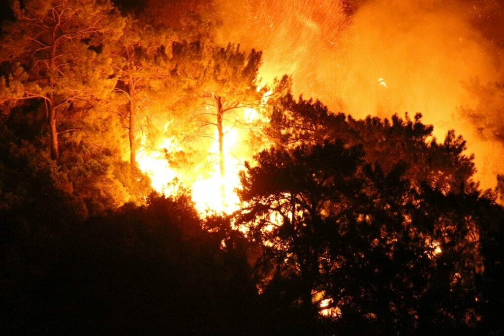 Erdogans Auftritt im Brandgebiet von Marmaris empört viele Türken. (© imago images/GocherImagery)