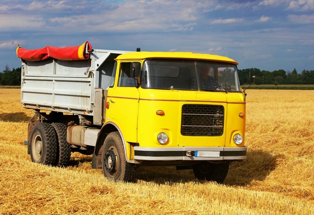 Weizen aus der Ukraine und Russland sind für etliche Länder im Nahen Osten von enormer Wichtigkeit. (© imago images/agefotostock)