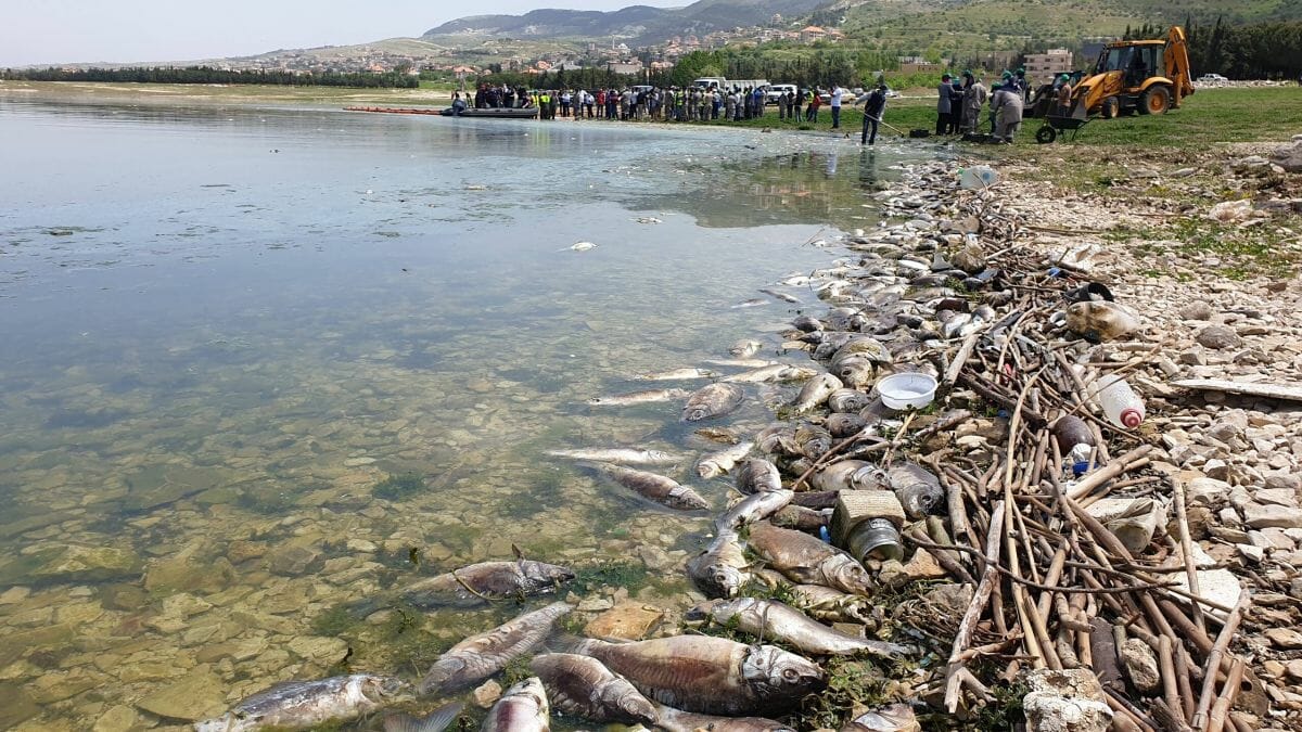 Der Fluß Litani im Libanon ist - wie viele weitere Wasserreservoirs - völlig kontaminiert