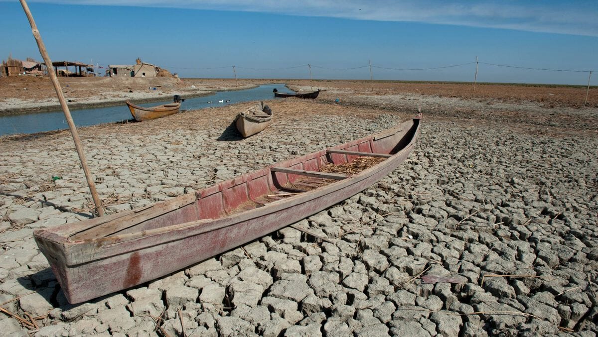 die Sümpfe im Süden des Irak drohen vollständig auszutrocknen