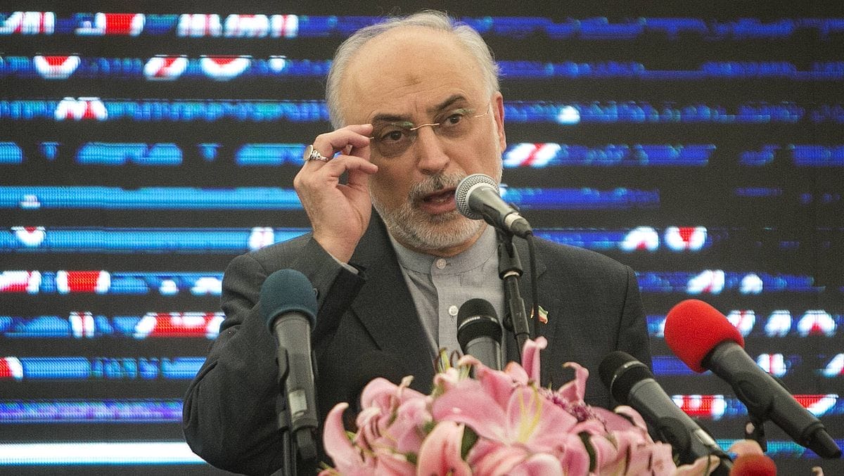 Irans ehemaliger Vizepräsident und Außenminister und jetzige Leiter der Atombehörde, Ali Akbar Salehi