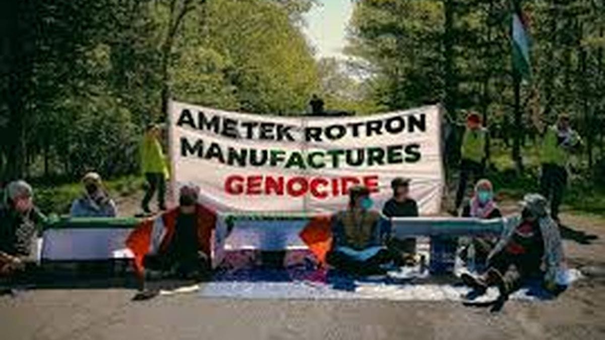 Antiisraelische Demonstranten beschimpfen Juden: Antisemitismus in Amerika breitet sich aus