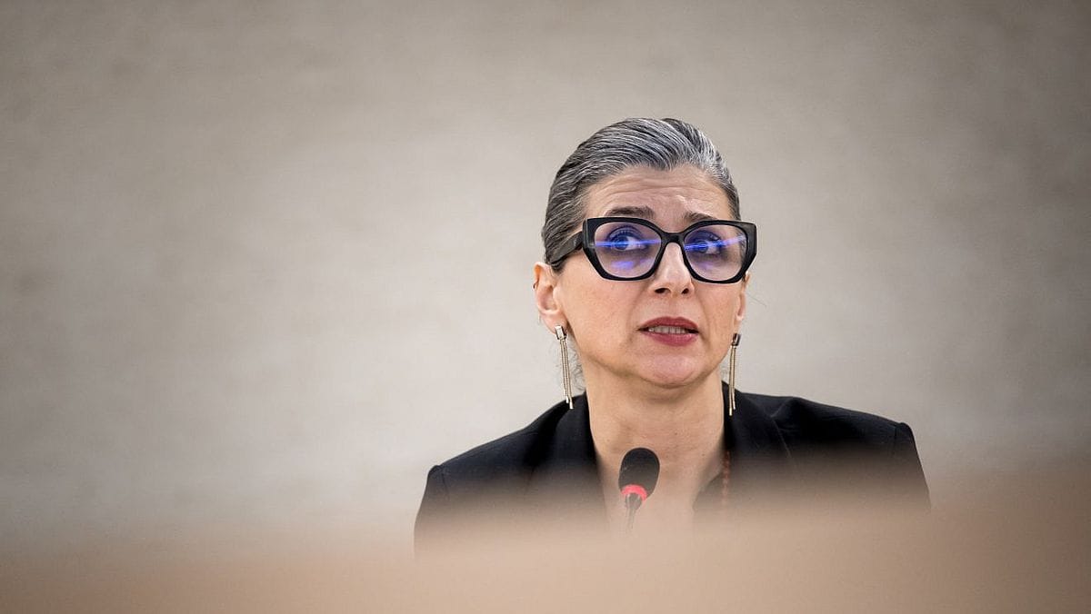 Verletzung der Unparteilichkeit: Albanese-Pauschalverteidiger sollen Vorwürfe illegaler Geldannahme durch die UNO-Sonderberichterstatterin prüfen