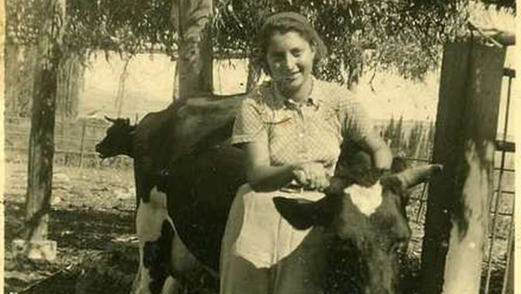 »Wahrscheinlich mit Milchwirtschaft«: Chana Szénes in einem Moschaw in Eretz Israel