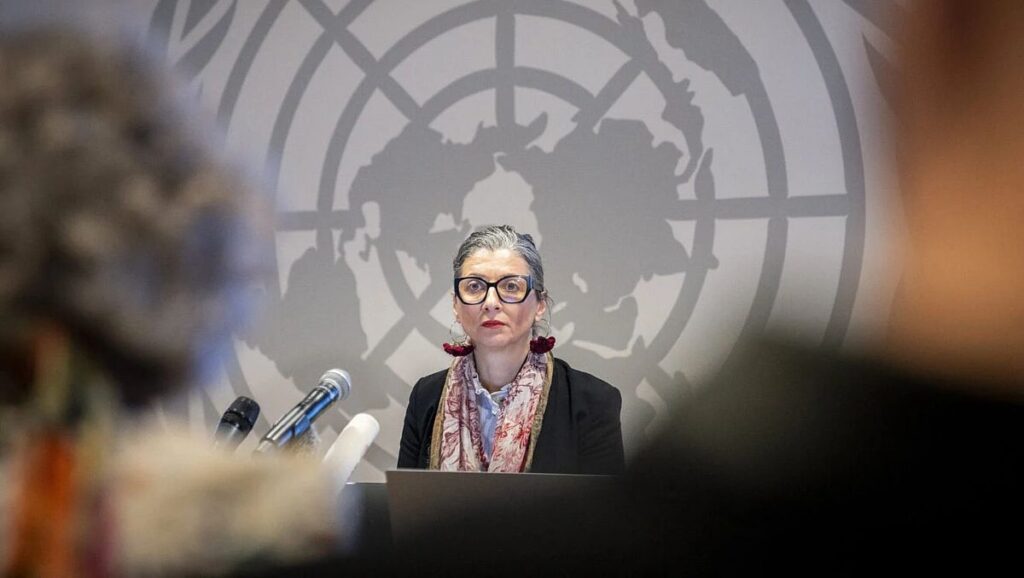 Die UN-Sonderberichterstatterin Francesca Albanese dürfte bei ihrer Bewerbung falsche Angaben gemacht haben