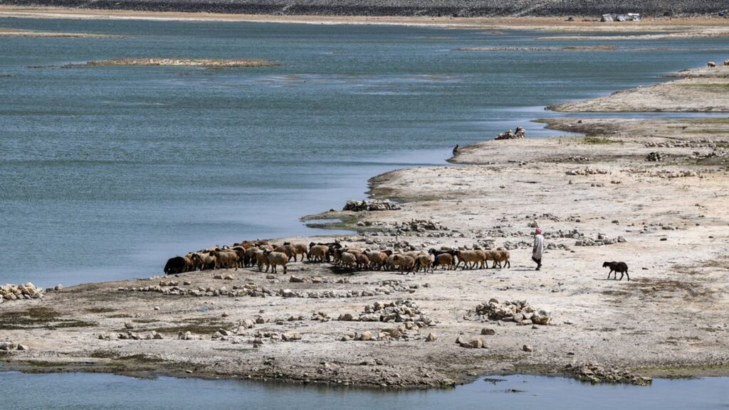 Dürre: Durch Klimawandel und Staudämme gehen die Wasserreserven Syriens immer weiter zurück