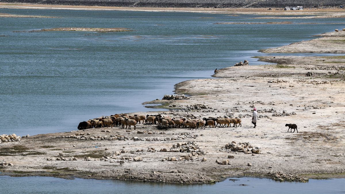 Dürre: Durch Klimawandel und Staudämme gehen die Wasserreserven Syriens immer weiter zurück