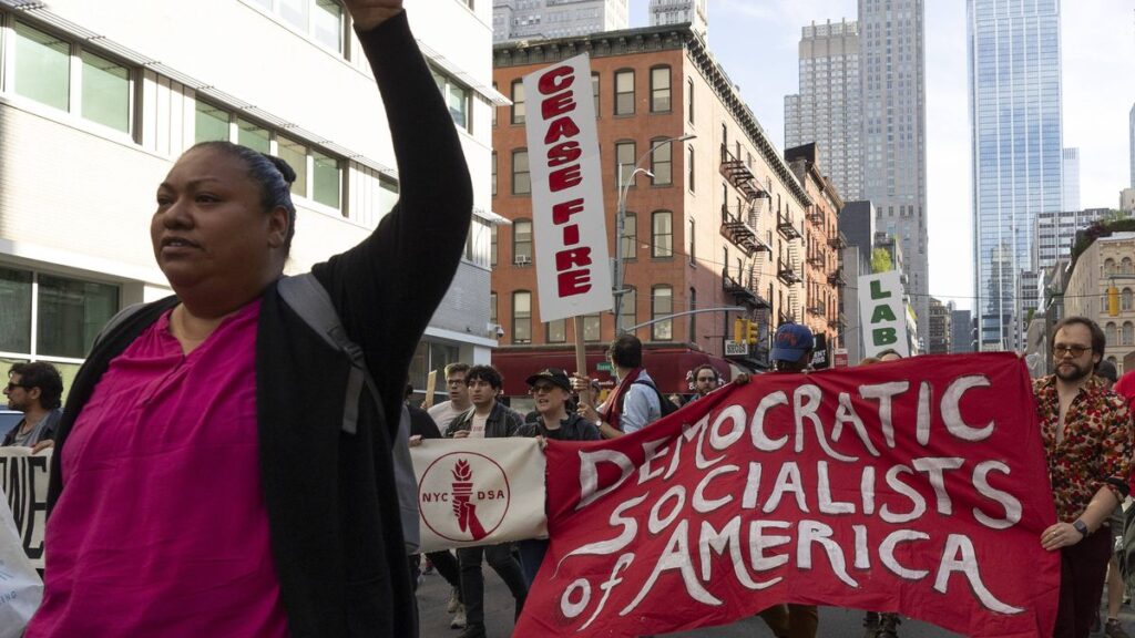 Mitglieder der Democratic Socialist of America auf einer antiisraelischen Demonstration in New York