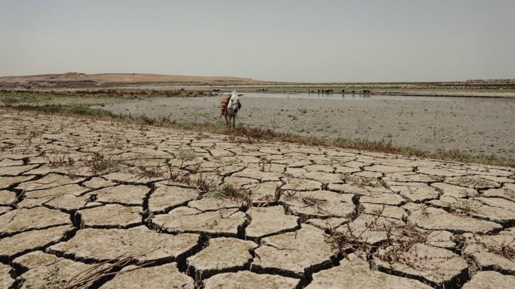 Die Wasserknappheit hat sich zu einem der drängendsten Probleme des Irans entwickelt
