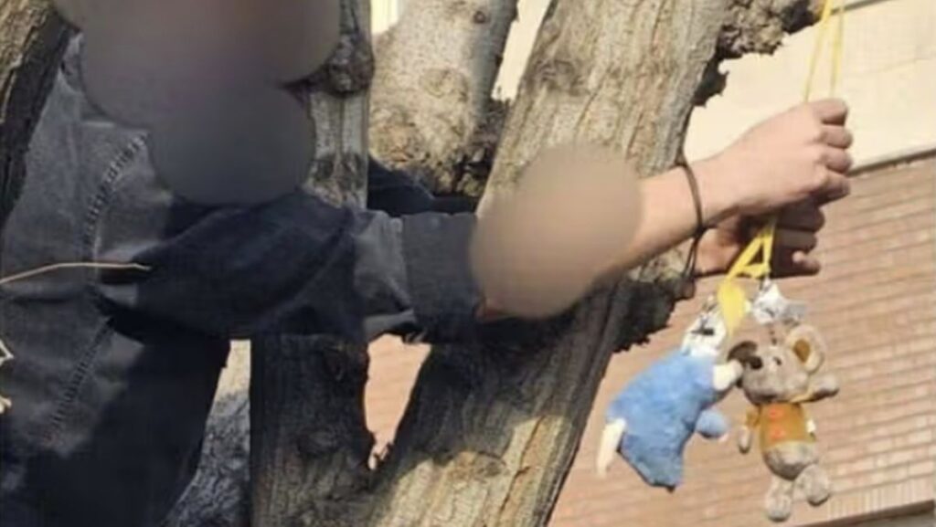 Iranisches Basidsch-Mitglied entfernt Plüschratte von Baum an Teheraner Universität